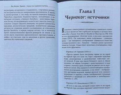 Фотография книги "Волхв Богумил: Чернобог - темная сила славянского пантеона. Источники. Формирование образа"