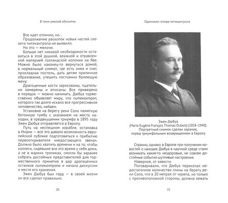 Фотография книги "Волков: В тени умелой обезьяны. Приключения, великие открытия и заблуждения в археологии каменного века"