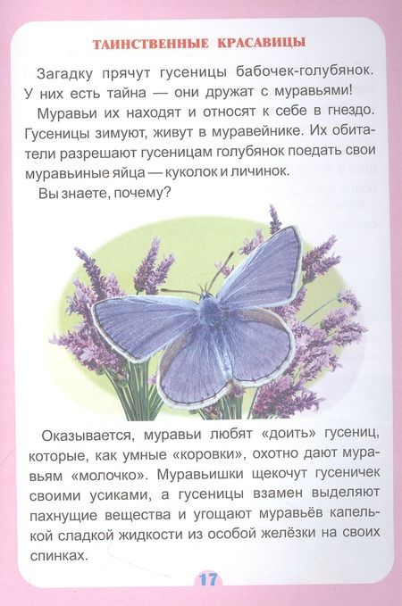 Фотография книги "Волкова-Алексеева, Попова: Удивительное о животных. Занимательные рассказы"