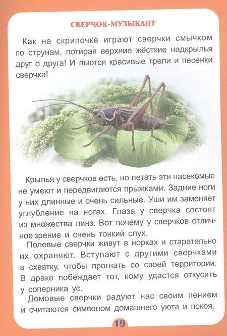 Фотография книги "Волкова-Алексеева, Попова: Удивительное о животных. Занимательные рассказы"