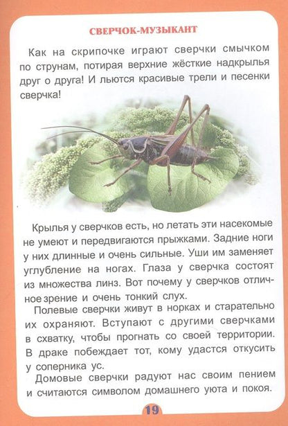 Фотография книги "Волкова-Алексеева, Попова: Удивительное о животных. Занимательные рассказы"