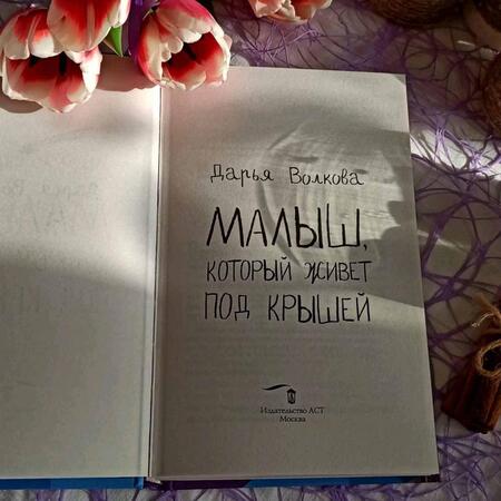 Фотография книги "Волкова: Малыш, который живет под крышей"