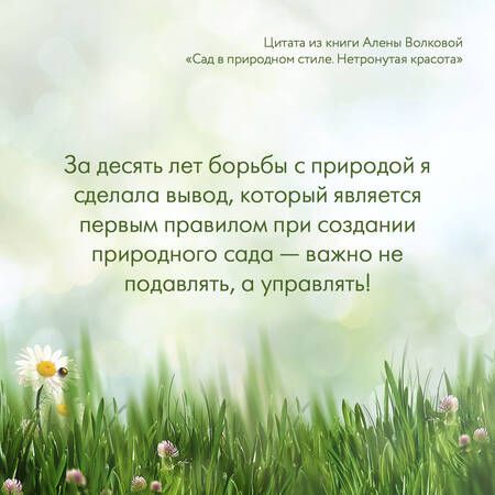 Фотография книги "Волкова: Сад в природном стиле. Нетронутая красота"
