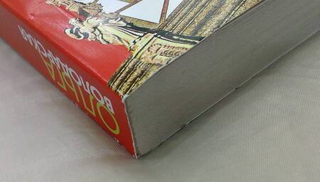 Фотография книги "Володарская: Исповедь отшельника"