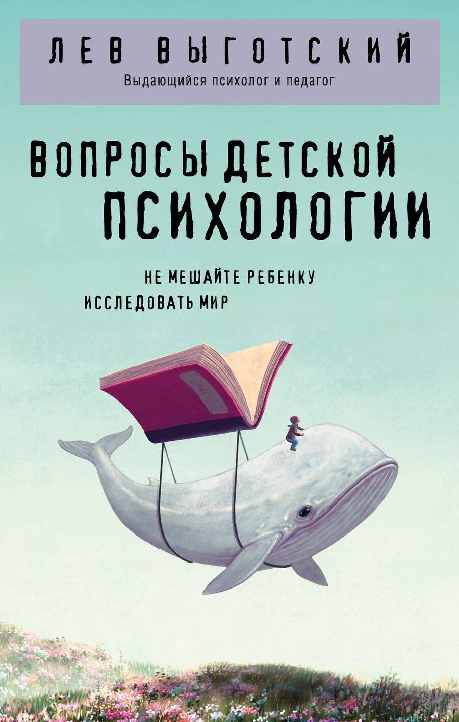 Обложка книги "Вопросы детской психологии"