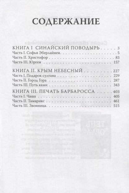 Фотография книги "Воронин: Второе пришествие Руси. Роман-хроника. Трилогия"