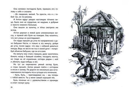 Фотография книги "Воскобойников: Девочка, мальчик, собака"