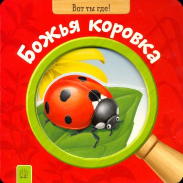 Обложка книги "Вот ты где! Божья коровка"