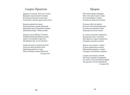 Фотография книги "Воздвиженский: Под сенью Вавилонской башни"