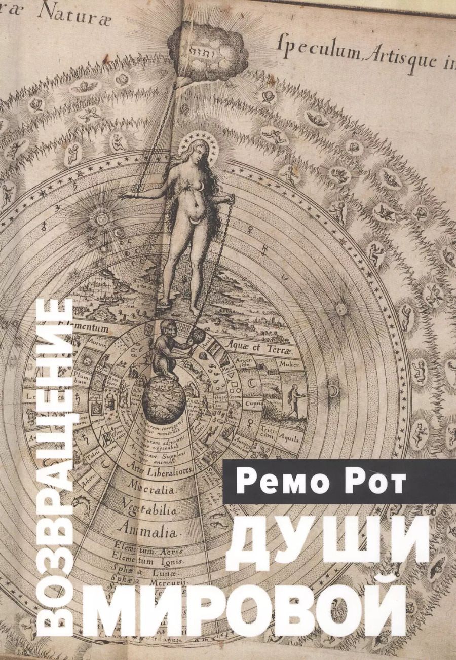 Обложка книги "Возвращение Мировой души. Вольфганг Паули, Карл Густав Юнг и вызов психофизической реальности"