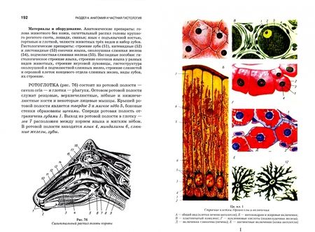 Фотография книги "Вракин, Сидорова, Панов: Практикум по анатомии и гистологии с основами гистологии и эмбриологии сельскохозяйственных животных"