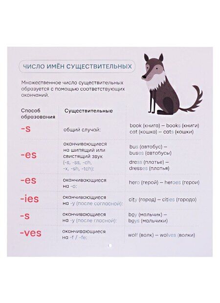 Фотография книги "Все правила английского языка для начинающих под одной обложкой. Плакат-самоучитель"