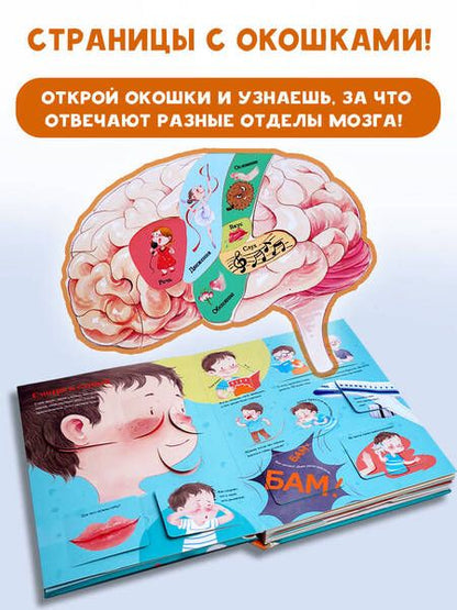 Фотография книги "Все секреты человека"