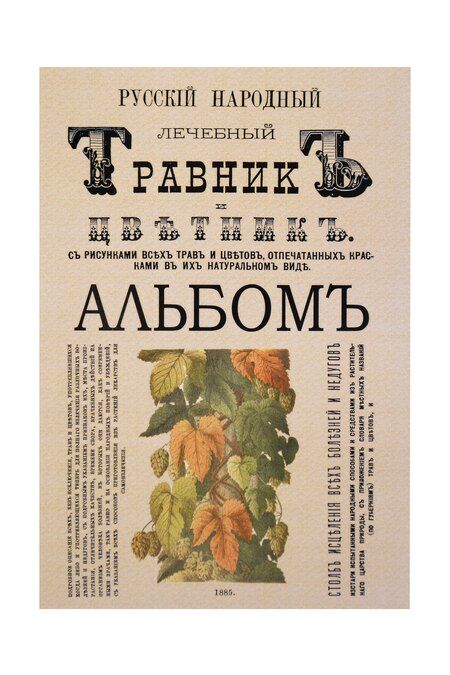 Фотография книги "Всеслав Гаврилович: Русский народный лечебный травник и цветник. С 150 раскрашенных и художественно выполненных с натуры рисунков всех этих трав и цветков и с рисунками в тексте (Комплект из 2-х книг)"