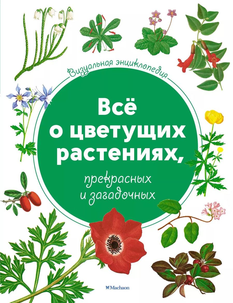 Обложка книги "Всё о цветущих растениях, прекрасных и загадочных. Визуальная энциклопедия"