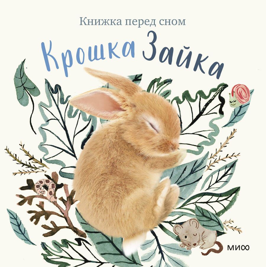 Обложка книги "Вуд: Крошка Зайка"