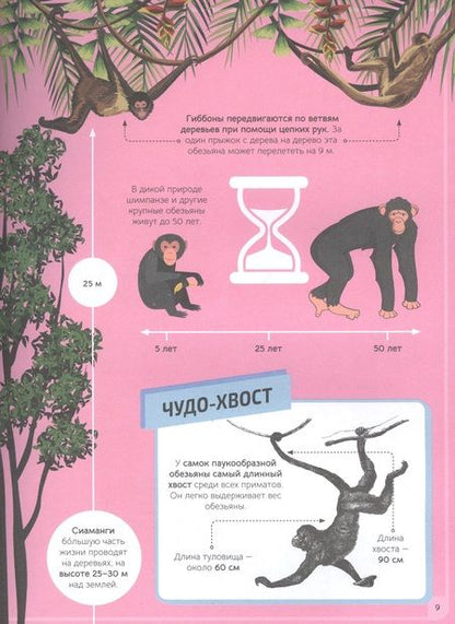 Фотография книги "Вулф АлексЖивотные"