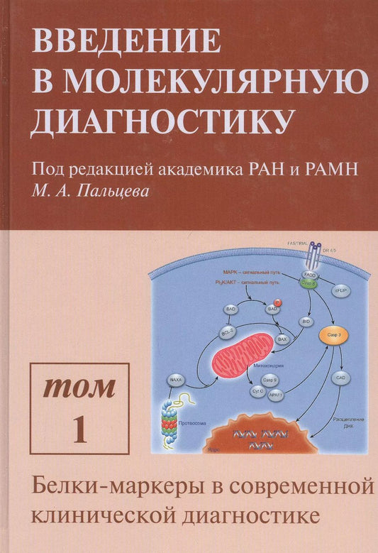 Обложка книги "Введение в молекулярную диагностику. В двух томах. Том 1. Белки-маркеры в современной клинической диагностике. Учебно-методическое пособие"