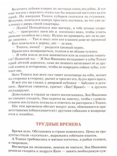 Фотография книги "Вячеслав Чиркин: Тошка, собачкин сын. Сказочная повесть о верной собачке"