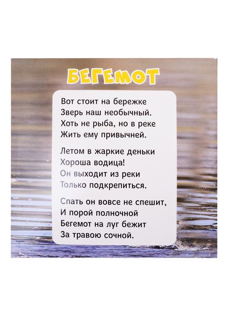 Фотография книги "Я познаю животный мир. Тактильная книжка"