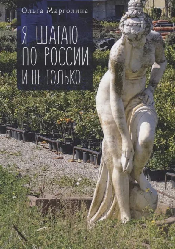 Обложка книги "Я шагаю по России и не только"