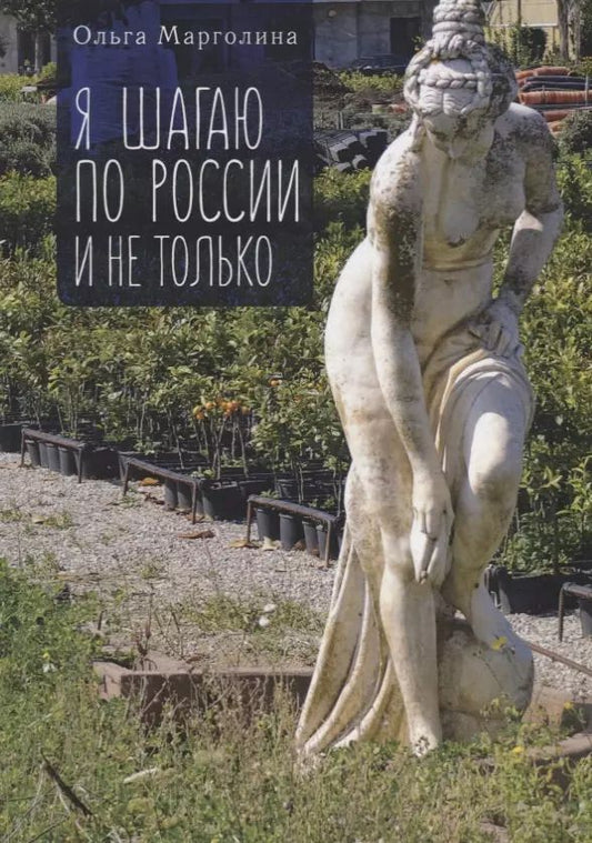 Обложка книги "Я шагаю по России и не только"