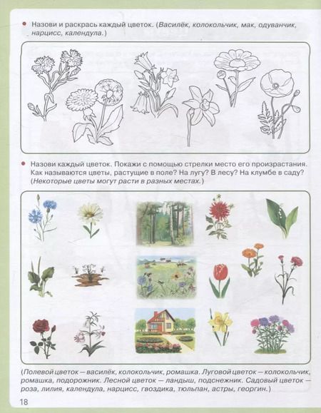 Фотография книги "Я знаю: Мир растений. Мир животных. Мир человека. Окружающий мир в вопросах и заданиях"