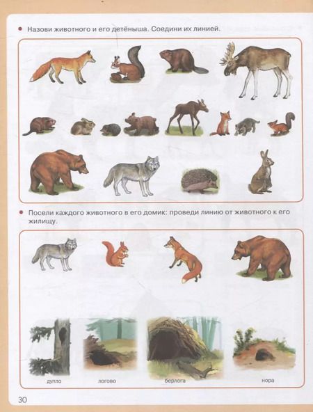 Фотография книги "Я знаю: Мир растений. Мир животных. Мир человека. Окружающий мир в вопросах и заданиях"