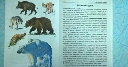 Фотография книги "Ядовитые растения и опасные животные"