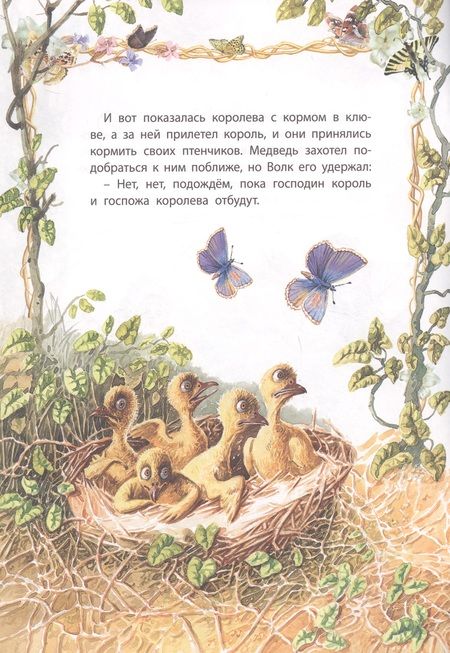 Фотография книги "Якоб и: Королек и Медведь"