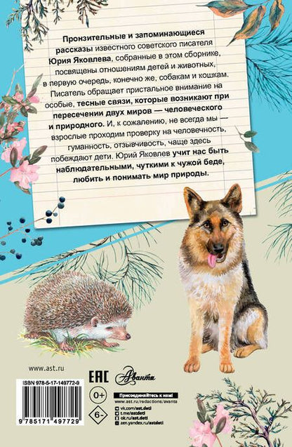 Фотография книги "Яковлев: Умка"