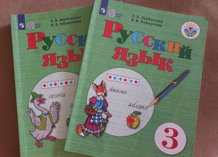 Фотография книги "Якубовская, Коршунова: Русский язык. 3 класс. Учебник. Адаптированные программы. В 2-х частях. Часть 1. ФГОС ОВЗ"