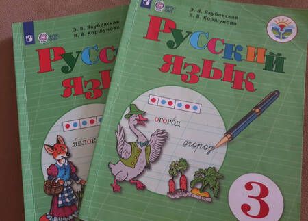 Фотография книги "Якубовская, Коршунова: Русский язык. 3 класс. Учебник. Адаптированные программы. В 2-х частях. Часть 2. ФГОС ОВЗ"