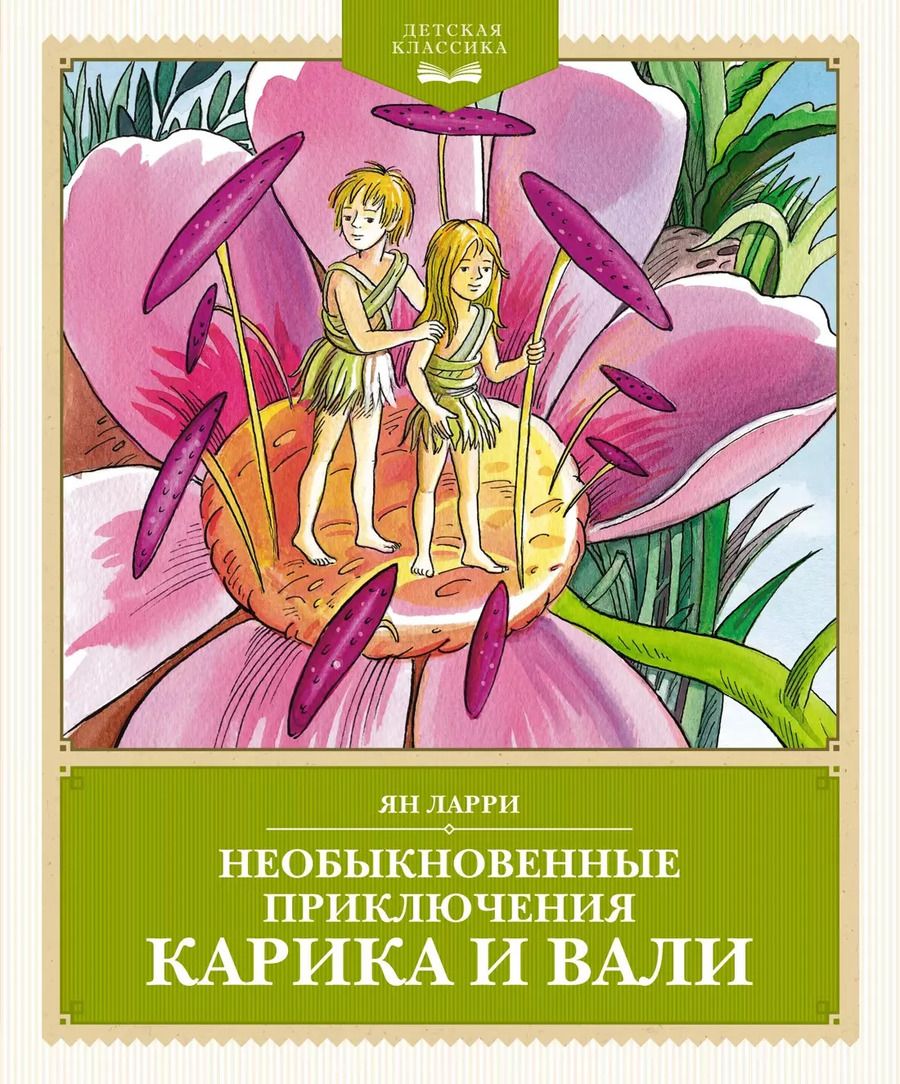 Обложка книги "Ян Ларри: Необыкновенные приключения Карика и Вали"