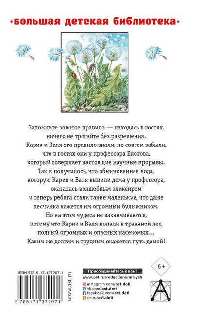 Фотография книги "Ян Ларри: Необыкновенные приключения Карика и Вали"