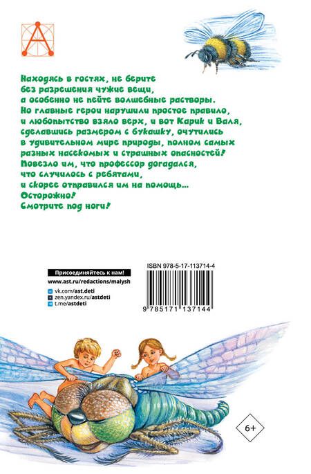 Фотография книги "Ян Ларри: Необыкновенные приключения Карика и Вали"