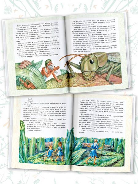 Фотография книги "Ян Ларри: Необыкновенные приключения Карика и Вали"