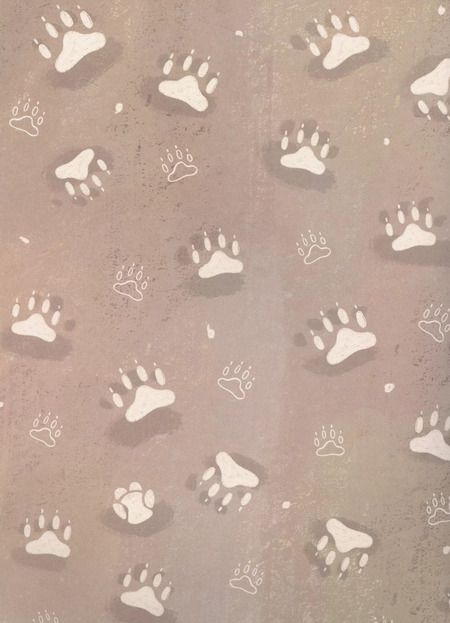 Фотография книги "Яна Файзутдинова: Волшебные башмачки. Сказки про мальчика Амира и его друзей"