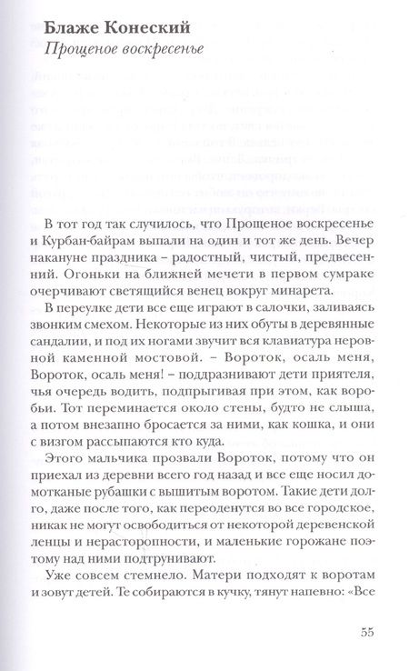 Фотография книги "Яневский, Конеский, Шопов: Рождение слова. Македонские переводы Ольги Панькино"