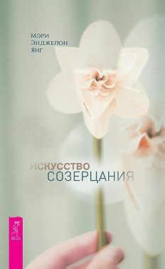 Обложка книги "Янг: Искусство созерцания"