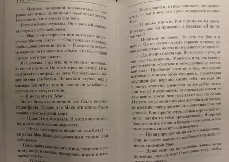 Фотография книги "Янг: Хижина"