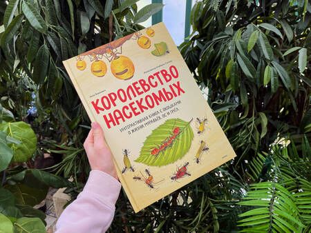 Фотография книги "Янкелевич: Королевство насекомых. Интерактивная книга с окошками о жизни муравьев, ос и пчел"
