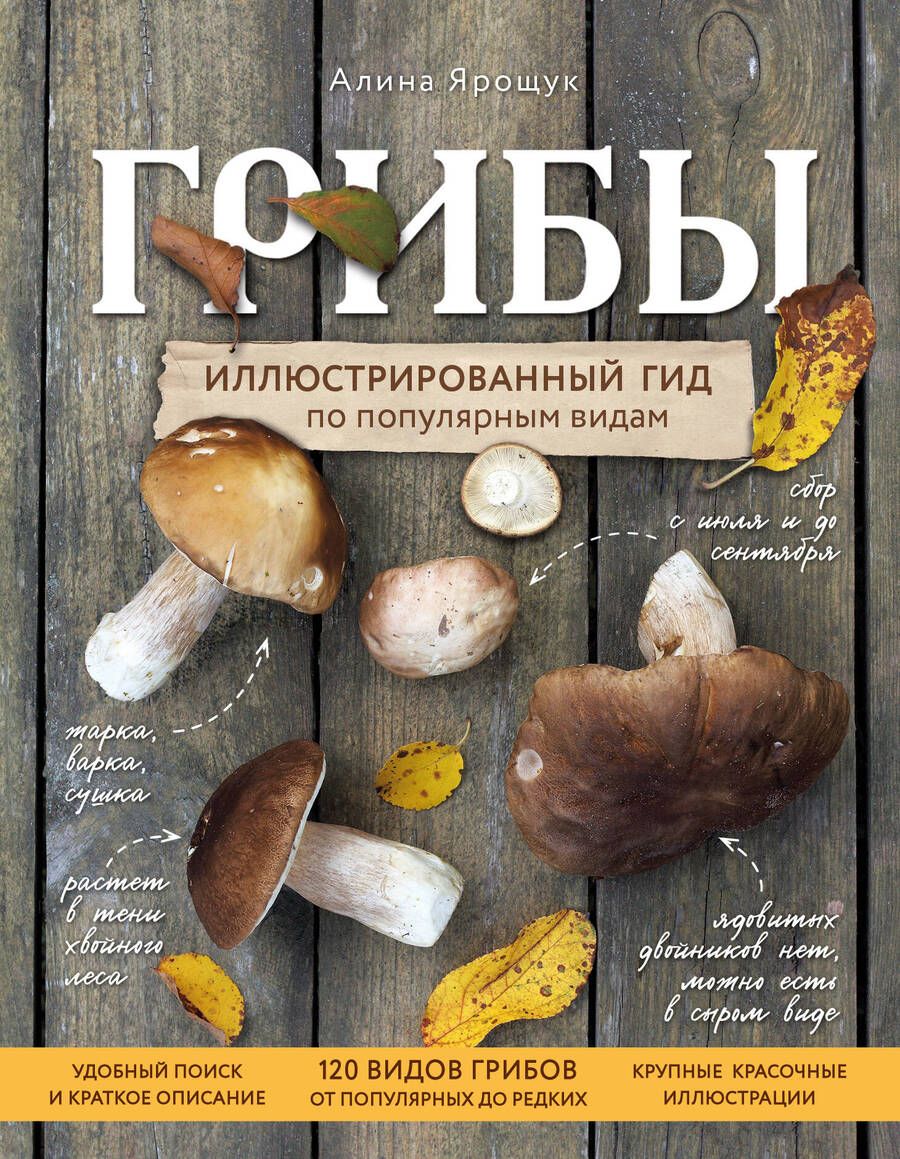 Обложка книги "Ярощук: Грибы. Иллюстрированный гид по популярным видам"