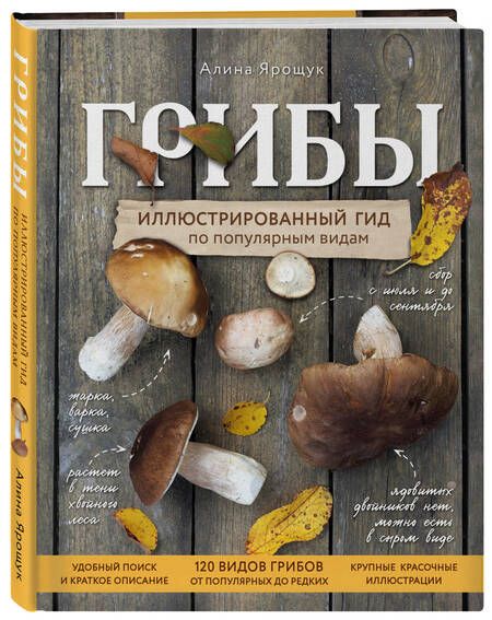 Фотография книги "Ярощук: Грибы. Иллюстрированный гид по популярным видам"