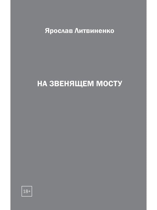 Обложка книги "Ярослав Литвиненко: На звенящем мосту"