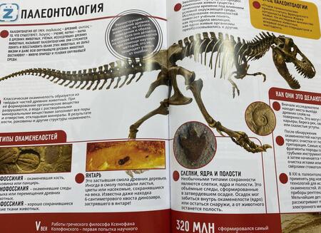 Фотография книги "Ярослав Попов: Динозавры.250 невероятных фактов"