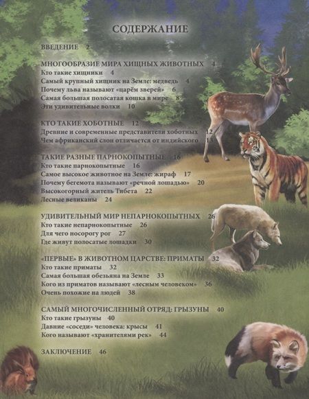Фотография книги "Ярослава Соколова: Животные. Энциклопедия"