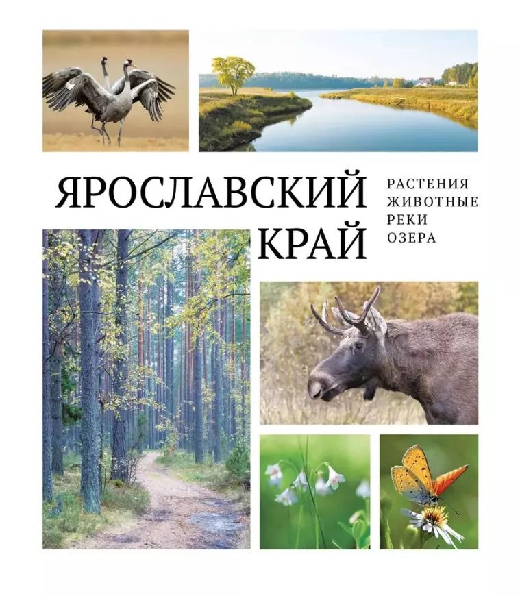 Обложка книги "Ярославский край: растения и животные, реки и озера"