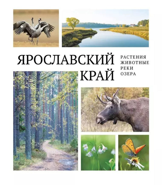 Обложка книги "Ярославский край: растения и животные, реки и озера"
