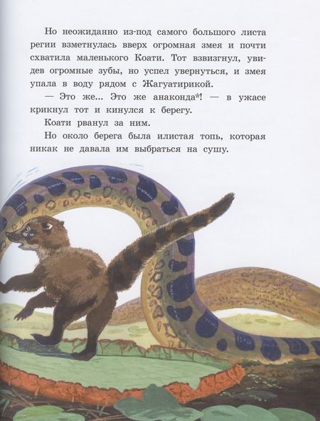 Фотография книги "Яровой: Приключения Тирика и Коати. Сказки с берегов Амазонки"